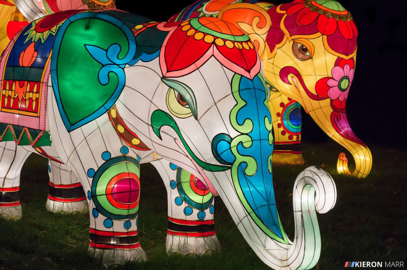 Longleat Festival of Light 2014 - Illuminated Elephants