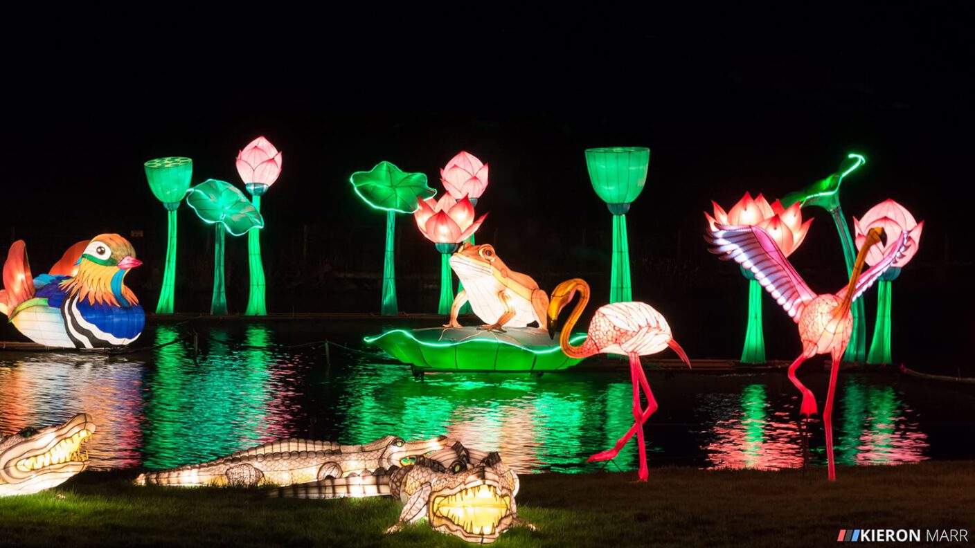 Longleat Festival of Light 2014 - Illuminated Lake