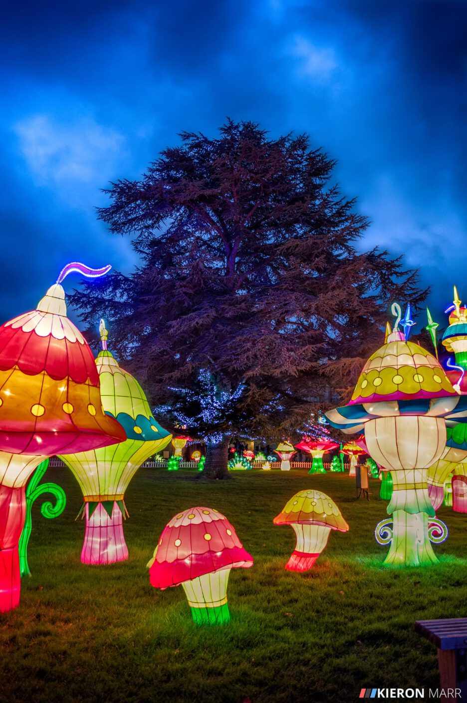 Longleat Festival of Light 2014 - Colourful Mushroom Garden