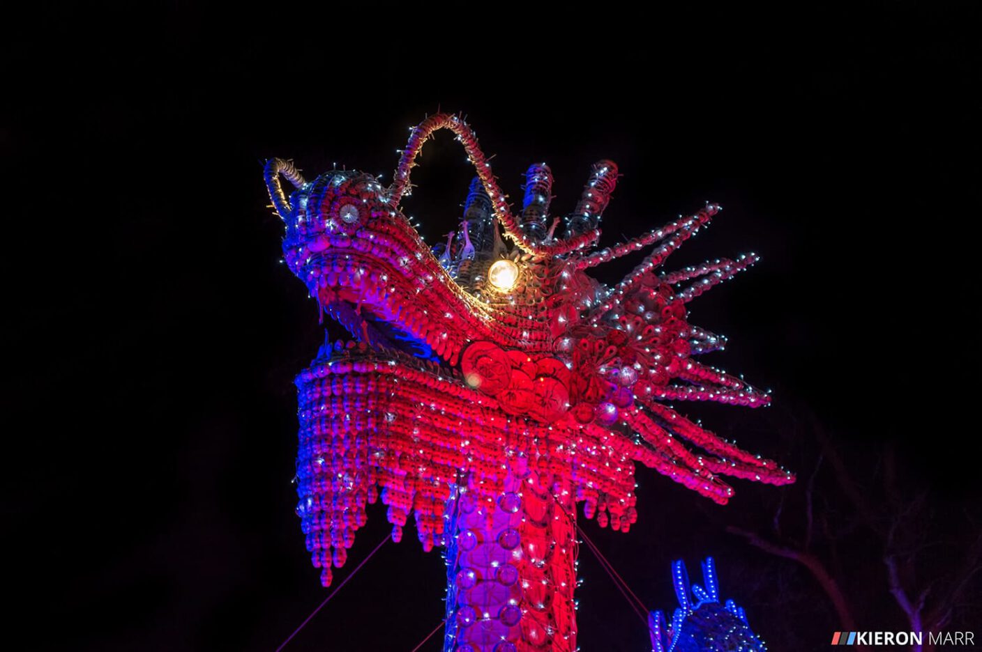 Longleat Festival of Light 2014 - Dragon Head