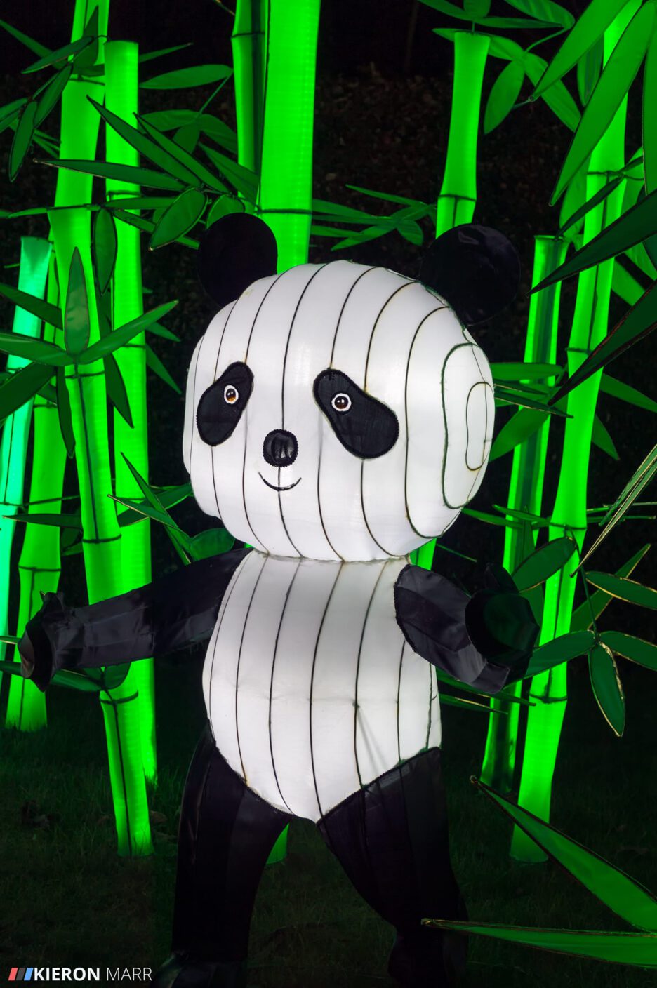 Longleat Festival of Light 2014 - Panda Garden