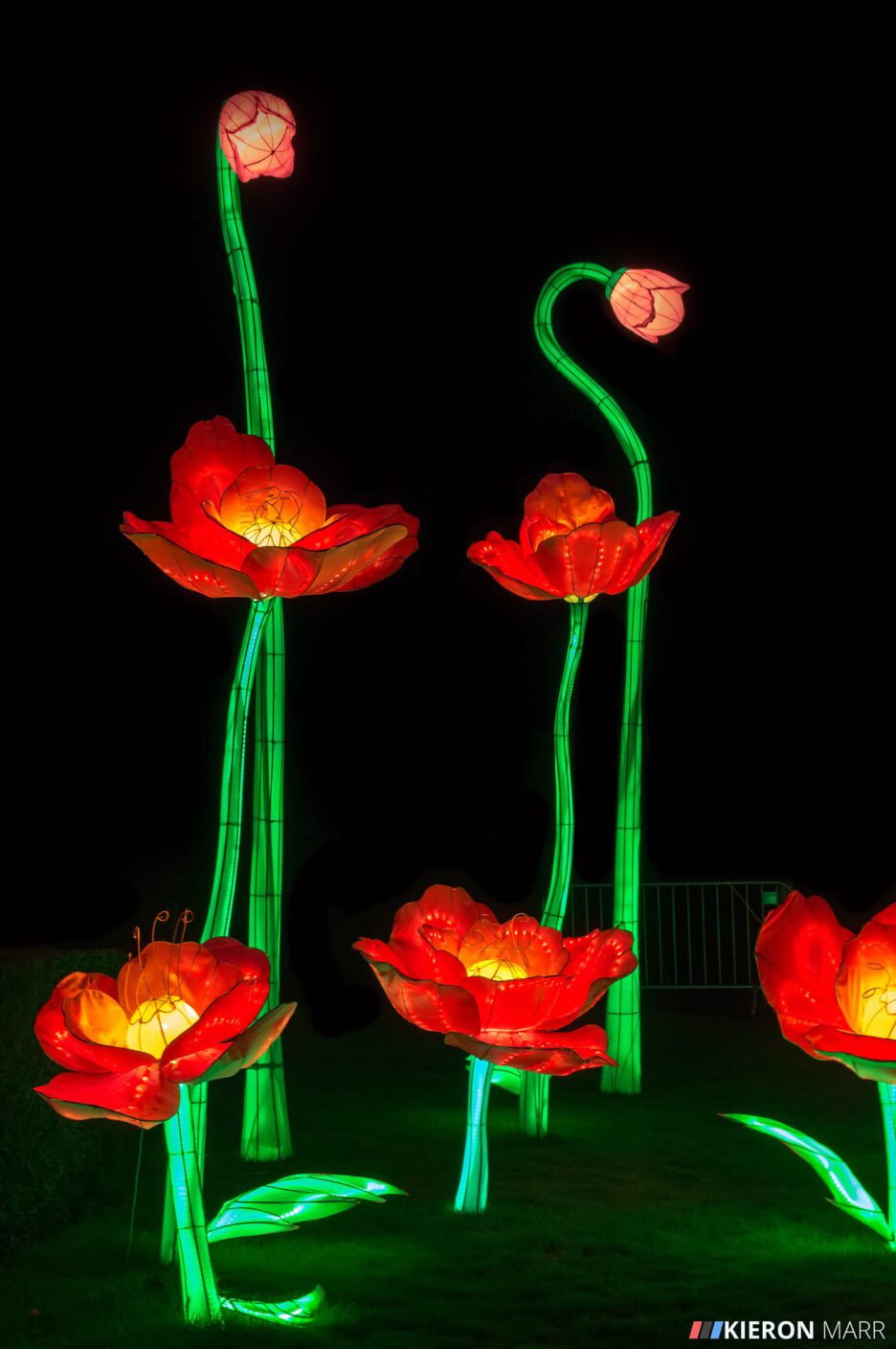 Longleat Festival of Light 2014 - Flowers