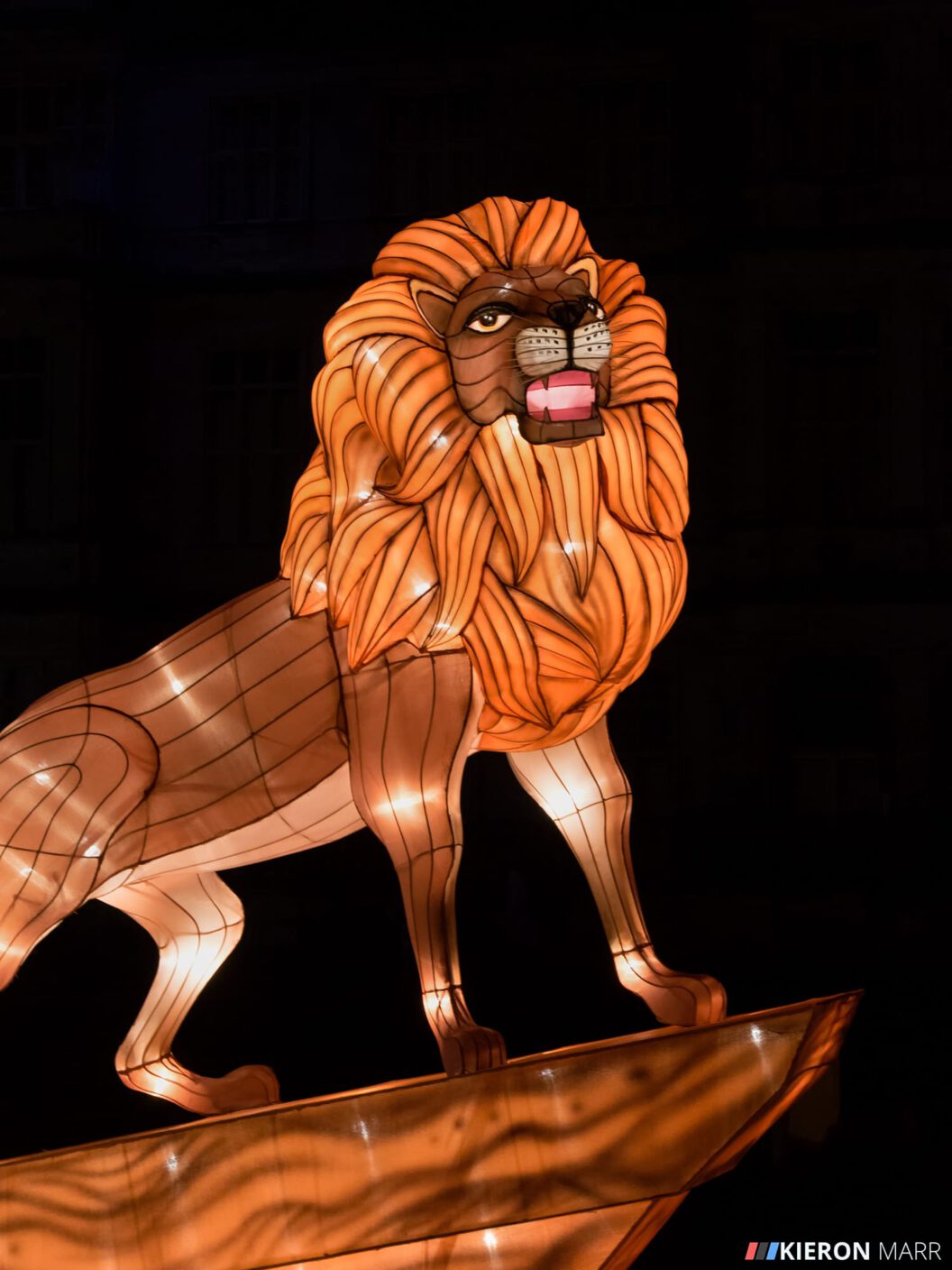 Longleat Festival of Light 2014 - Lion