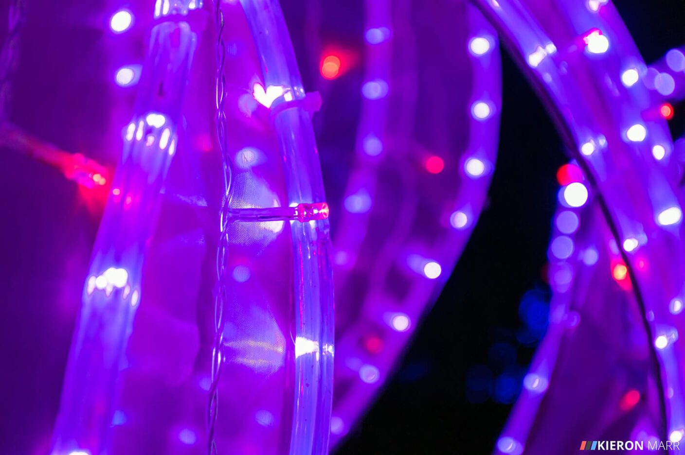 Longleat Festival of Light 2014 - Purple Flowers Macro