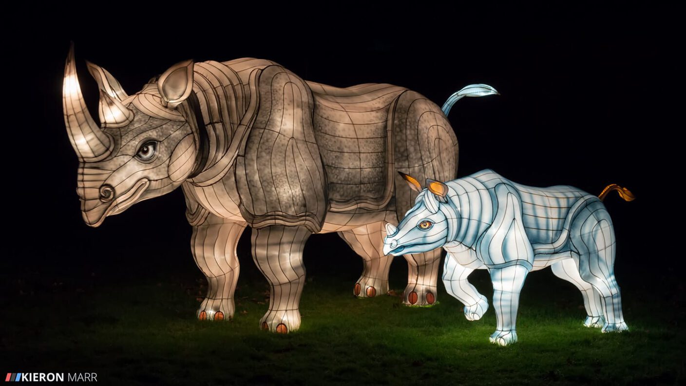 Longleat Festival of Light 2014 - Rhino Family