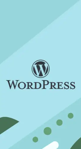 WordPress Developer Banner Image