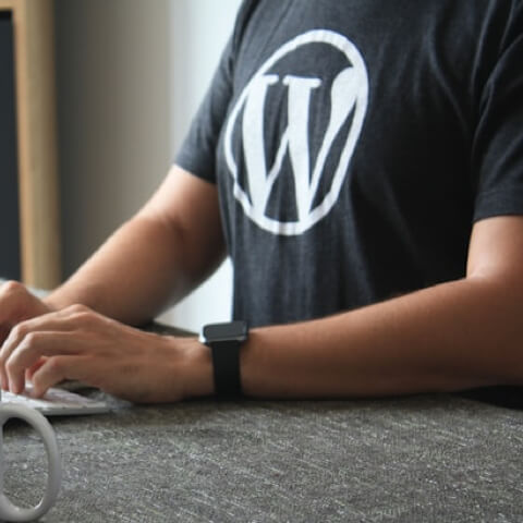 WordPress T-Shirt