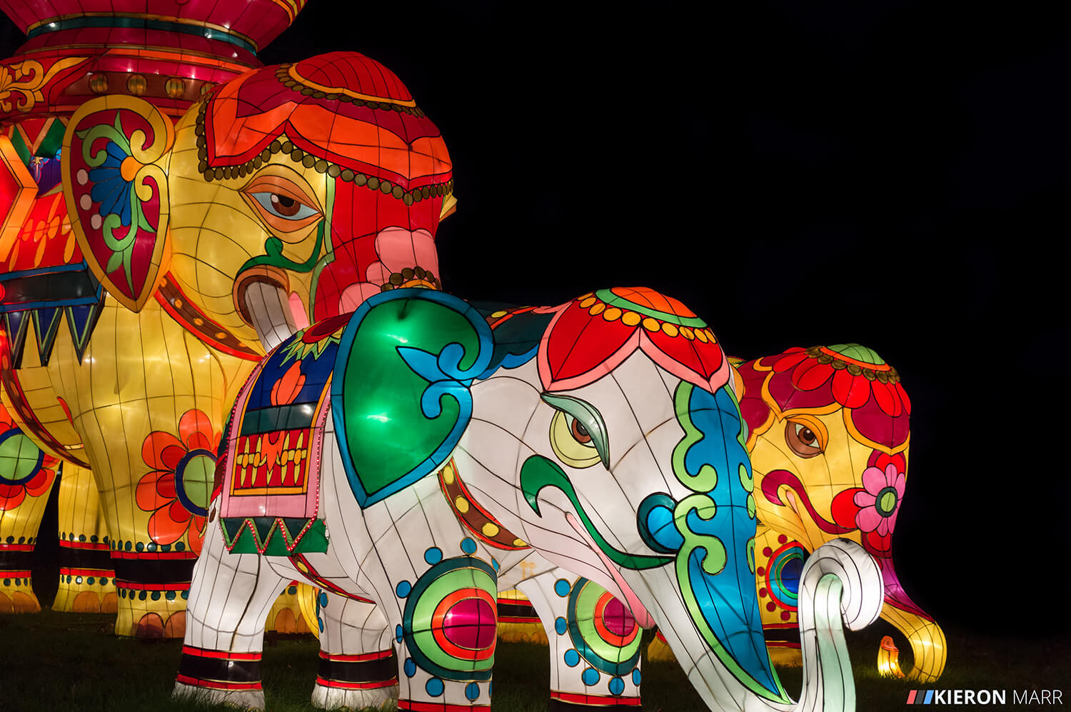 Longleat Festival of Light 2014 - Illuminated Elephants