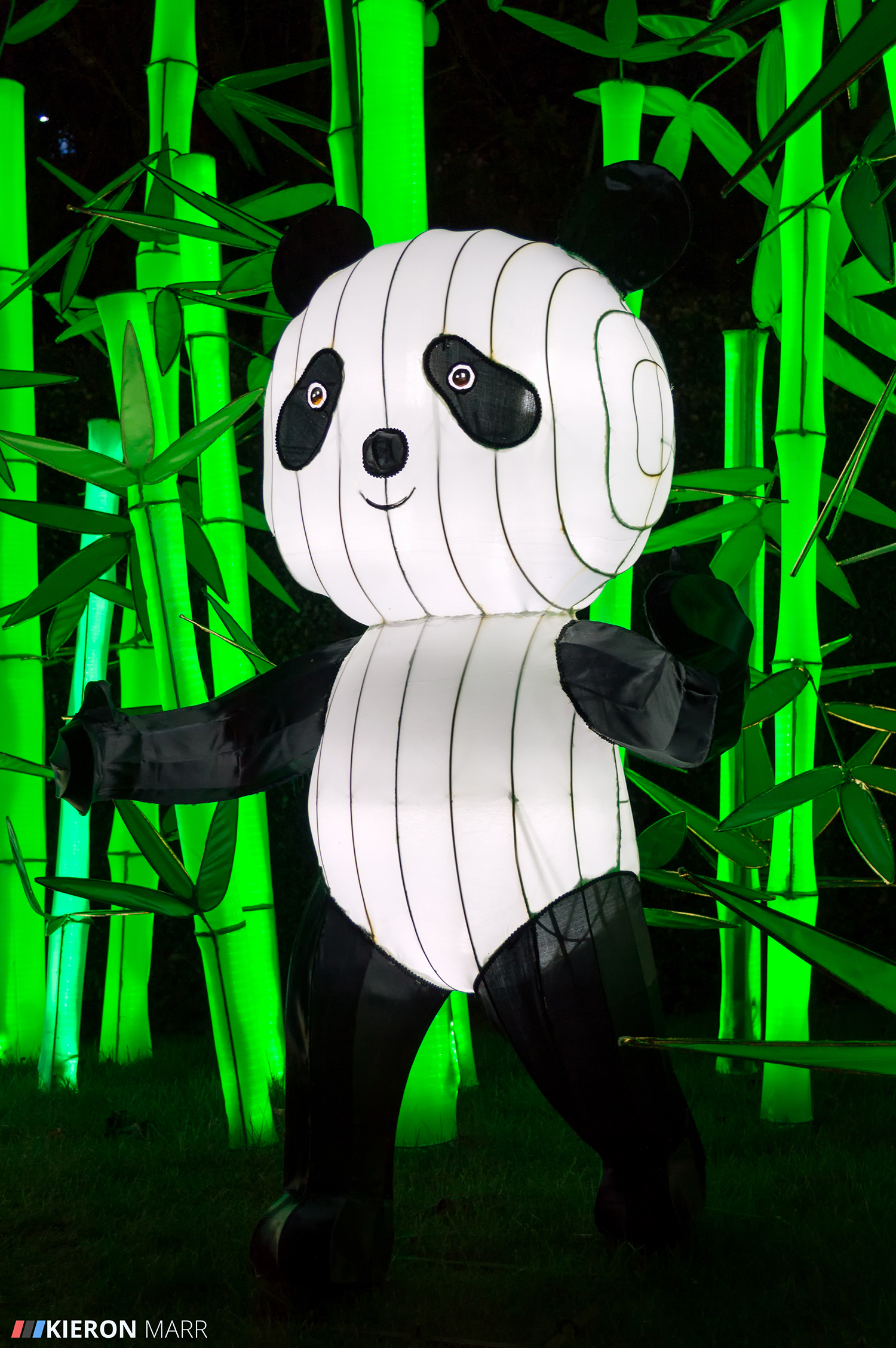 Longleat Festival of Light 2014 - Panda Garden