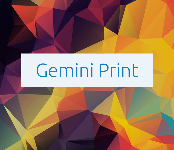 Gemini Print Website